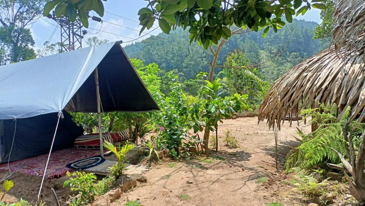 Hotel Freedom Camp Ella Esterno foto